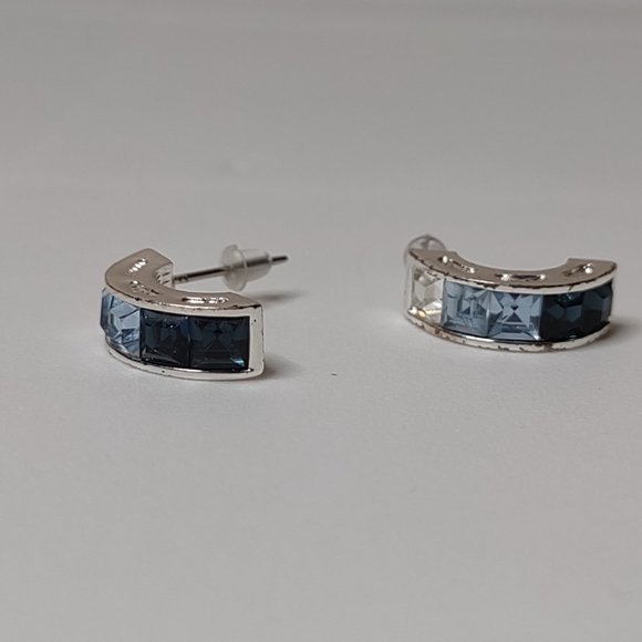 Multi Toned Blue Earrings - Picture 5 of 9